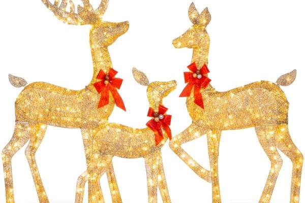 Lighted deer outdoor christmas decor