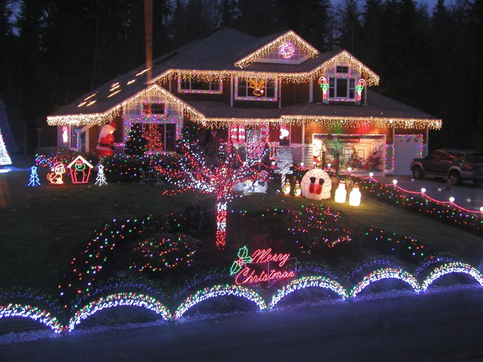 Outdoor holiday light decor