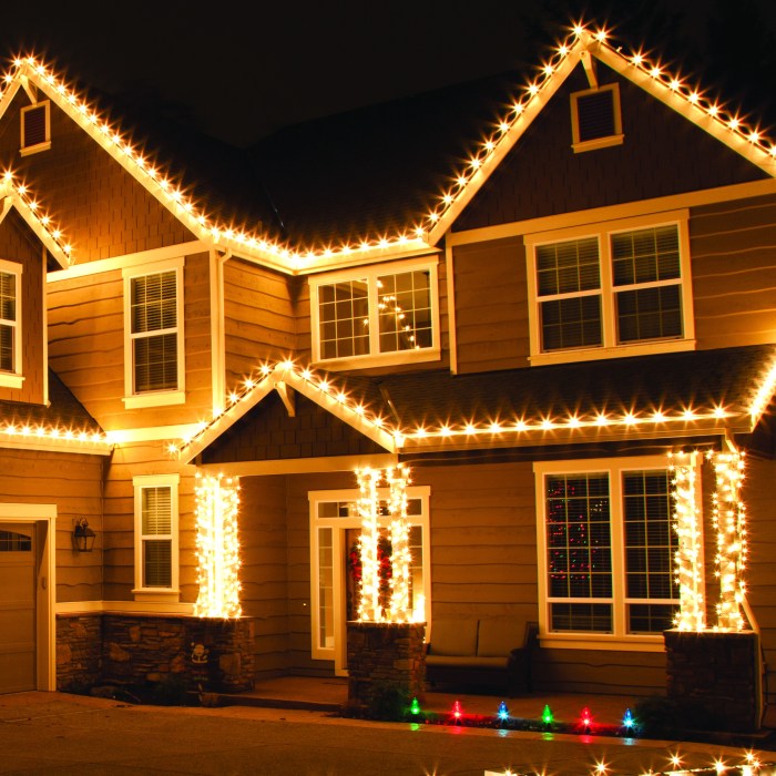 Outdoor holiday light decor